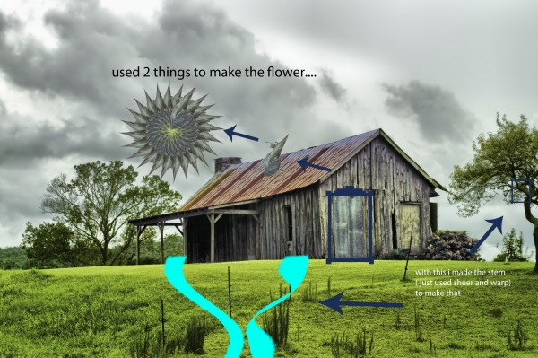 Creation of flowers: Step 4